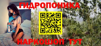 молекула духа Лесосибирск