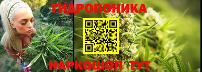 молекула духа Лесосибирск