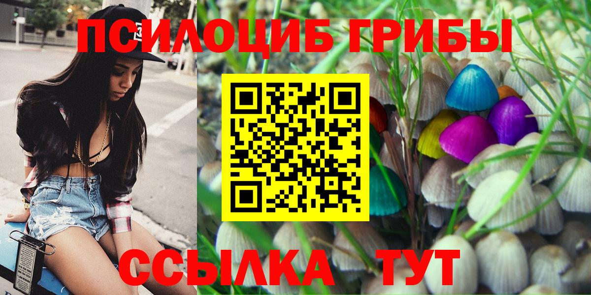 Псилоцибиновые грибы Psilocybine cubensis  Вход с VPN  Галлюциногенные грибы Psilocybine cubensis  Владикавказ 